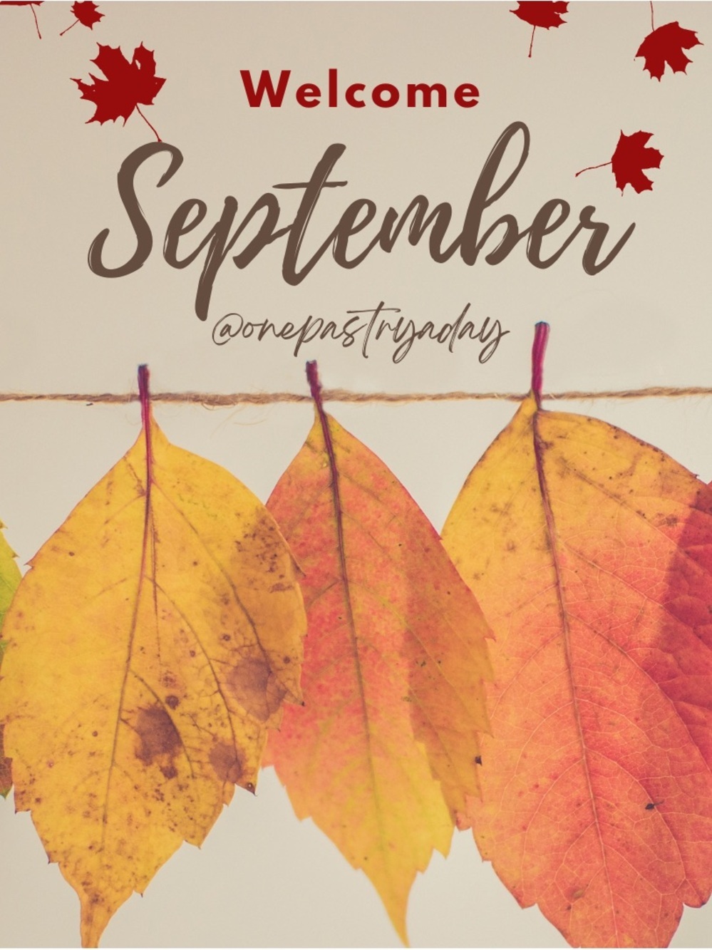 Welcome + Hello September! 🍩☕️🍂🍁 - Picture 2 of 2